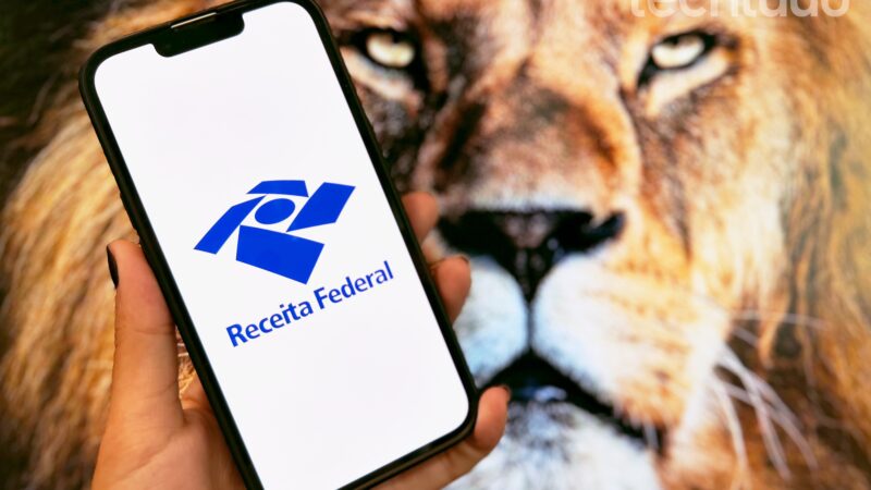 IR atrasado? Veja multa e como regularizar o Imposto de Renda