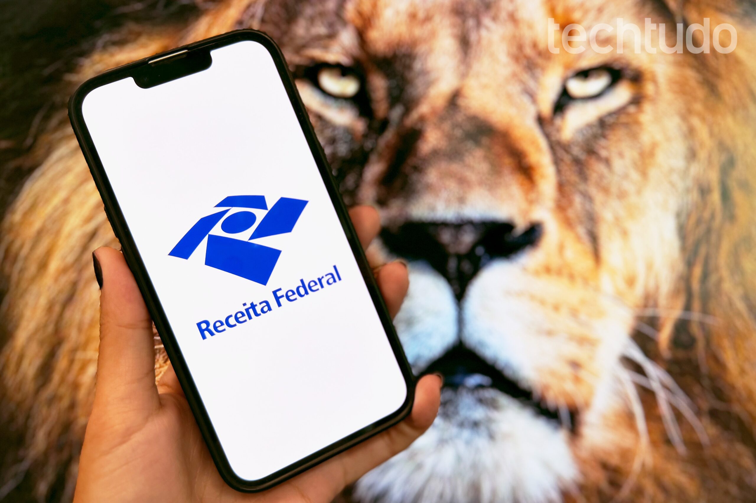IR atrasado? Veja multa e como regularizar o Imposto de Renda