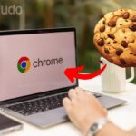 Aceita todos os cookies? Veja dados que podem ser coletados ao clicar