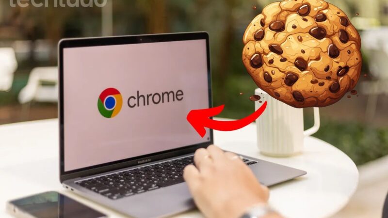 Aceita todos os cookies? Veja dados que podem ser coletados ao clicar