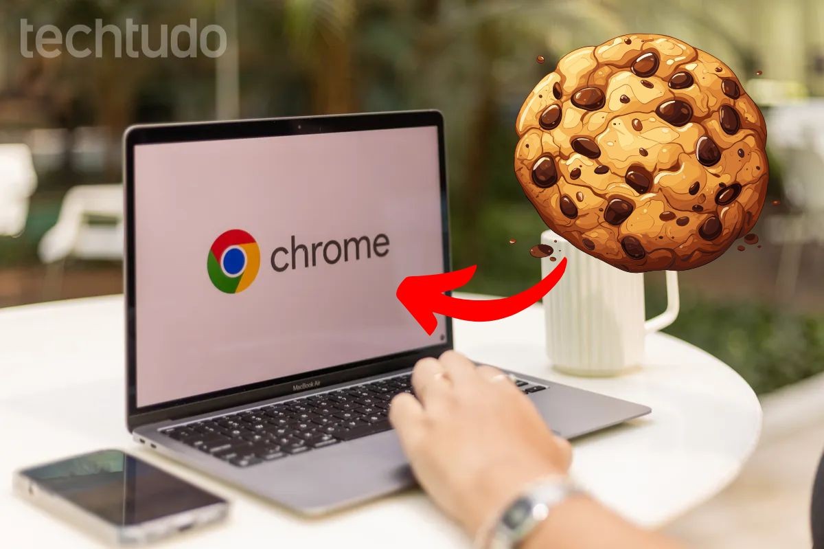 Aceita todos os cookies? Veja dados que podem ser coletados ao clicar