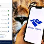 Malha fina da Receita Federal: como consultar e regularizar pelo e-CAC
